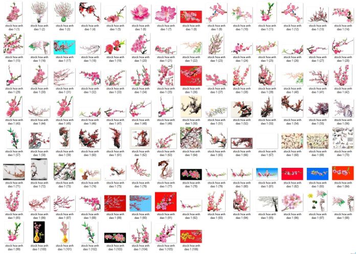 105-stock-hoa-anh-dao-file-psd