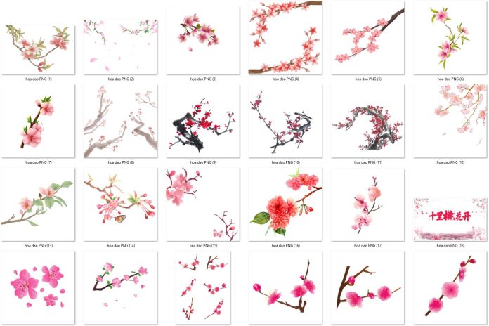 27-hoa-dao-file-png