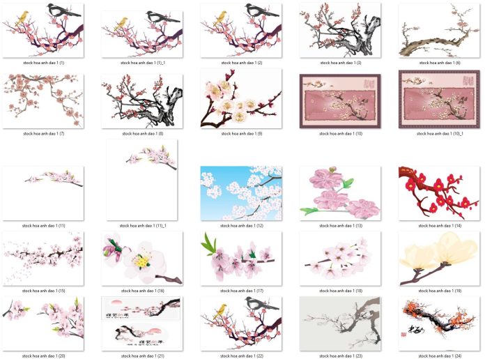 29-stock-hoa-anh-dao-file-vector